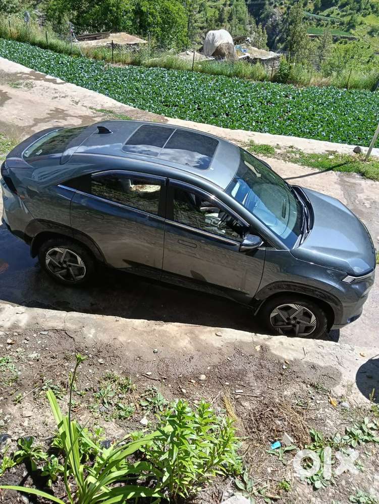 Tata Curvv Petrol 2025 Year