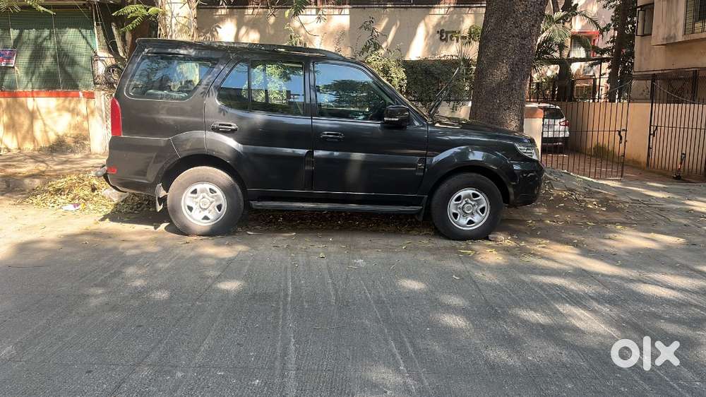 Safari Storme For Sell