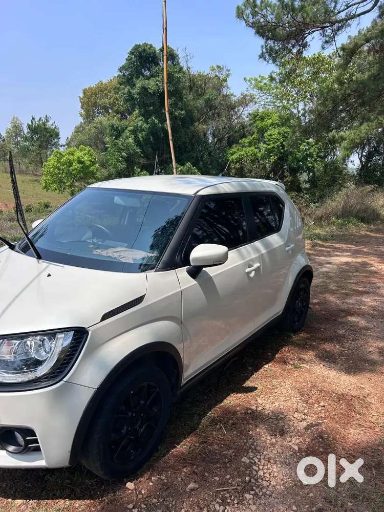 Maruti Suzuki Ignis 2019 Alpha Variant