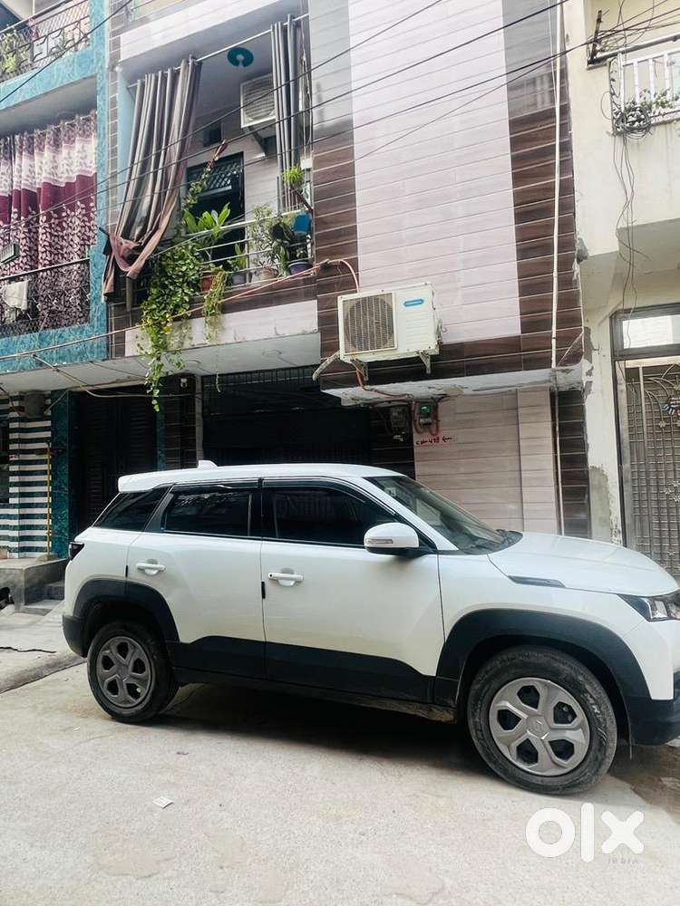 Maruti Suzuki Petrol 2024