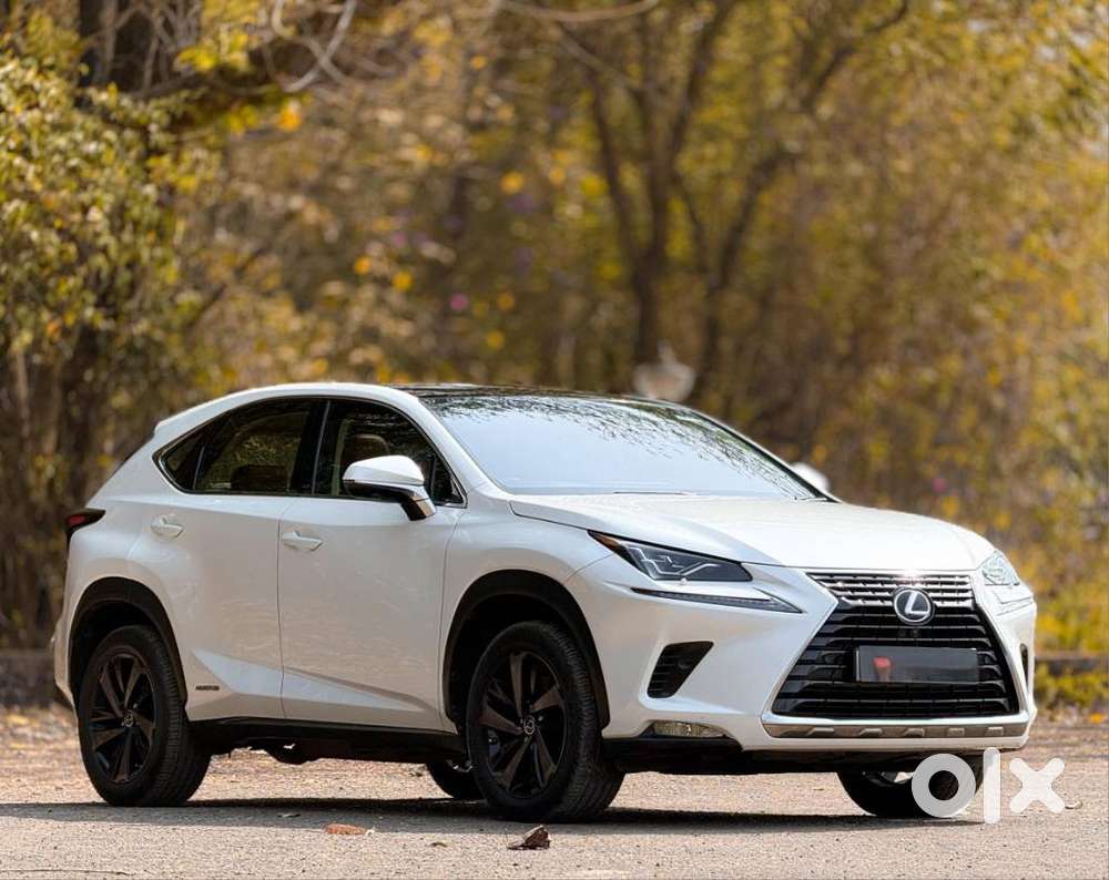 Lexus Nx 300h, 2019, Petrol