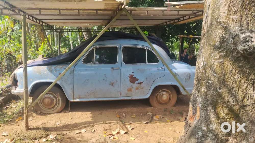 Ambassador Ambassador 1986