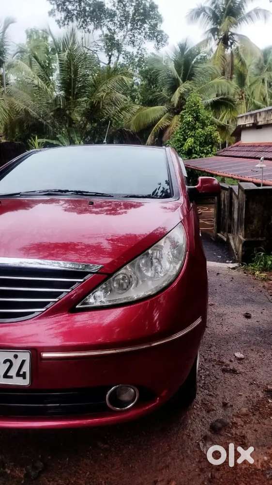 Cherry Red Indica Vista 2013 Model