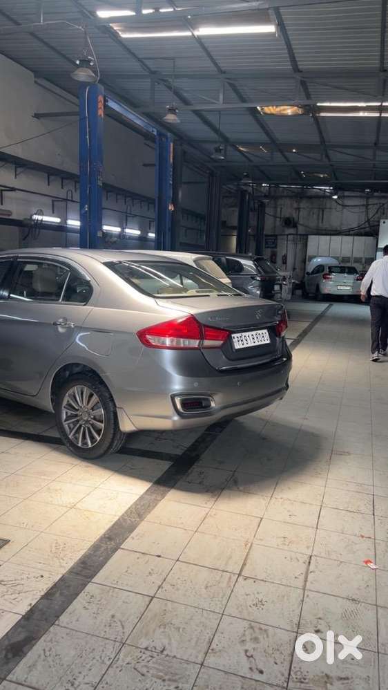 Maruti Suzuki 2019 Car
