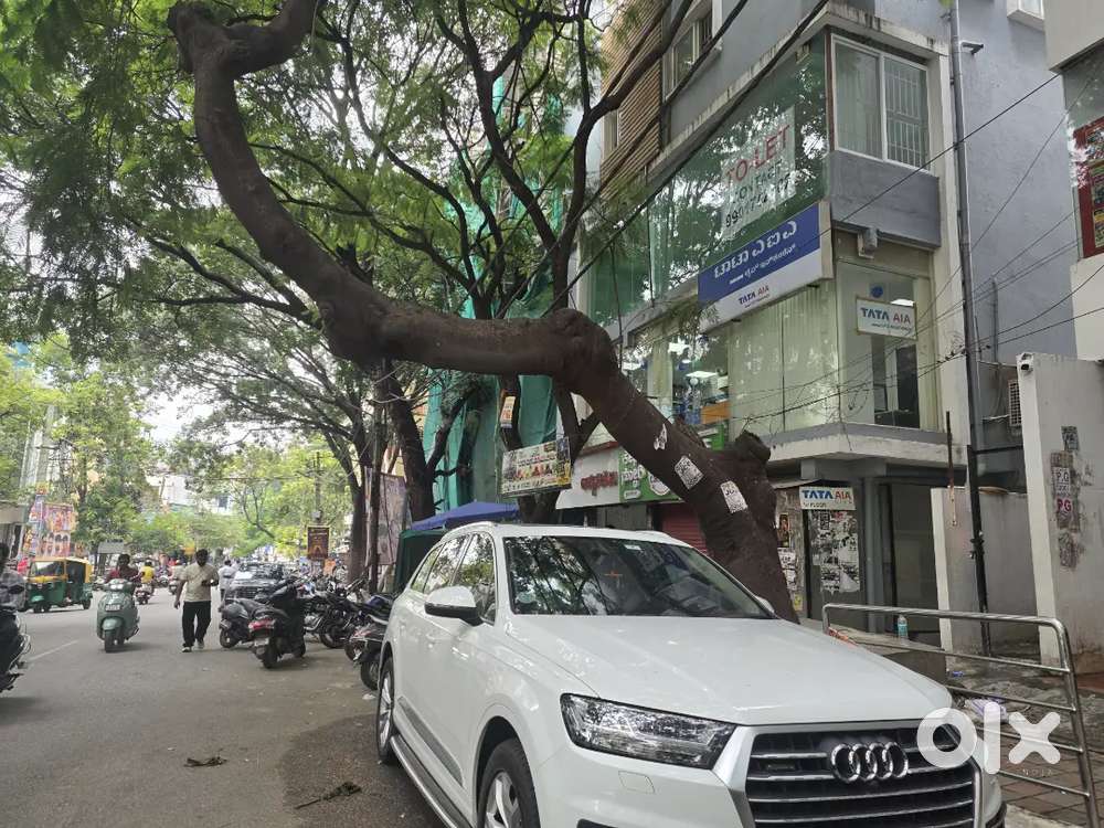 Audi Q7 Diesel 2019(nov)