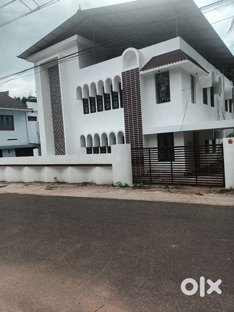 House for Rent For Rent Houses & Apartments 1735781028