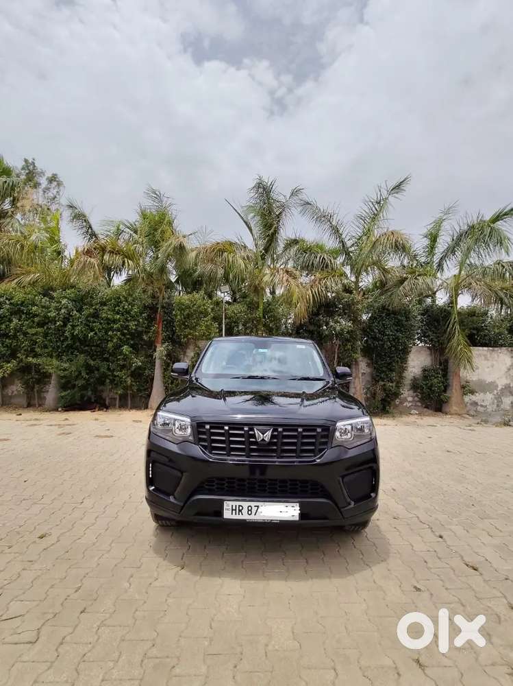 Brand New Car