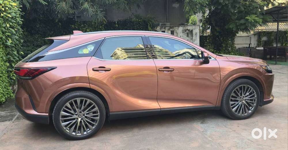 Lexus Rx 350h Panasonic, 2023, Petrol