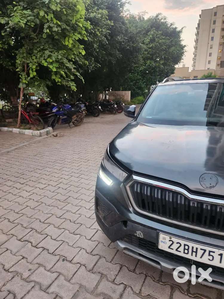 Skoda Kushaq 2022 Km Driven