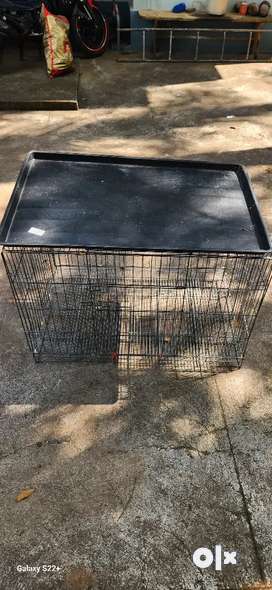 Stainless dog best sale cage olx