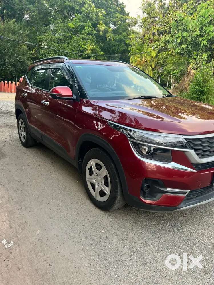 Kia Seltos 2019 Petrol Well Maintained