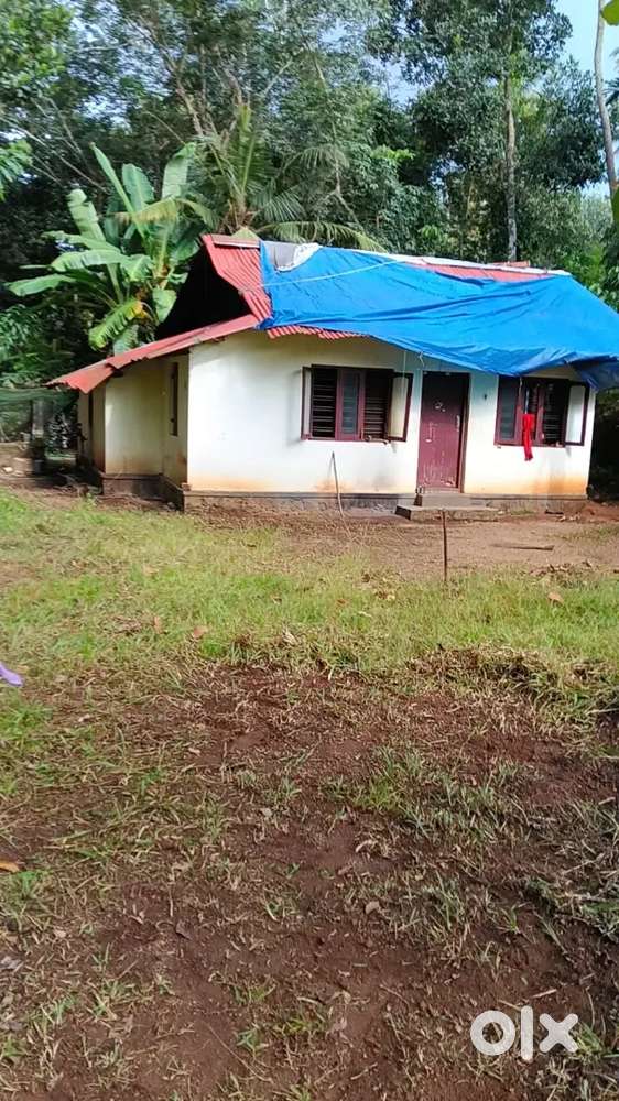കാട്ടാക്കട അമ്പലത്തിൻ കാല