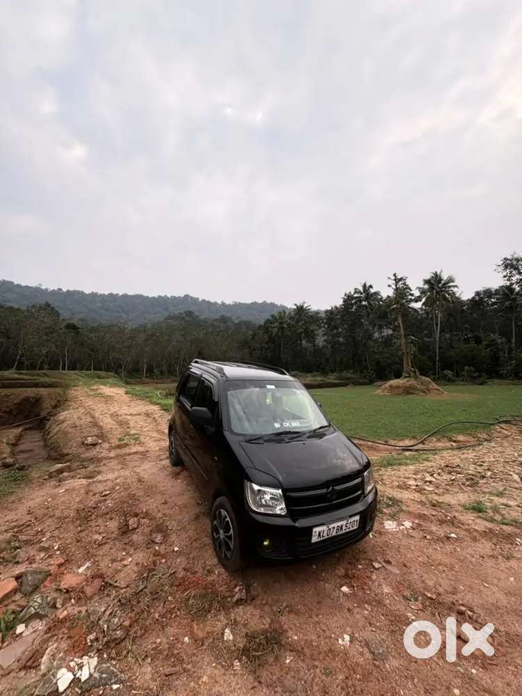 Maruti Suzuki Wagon R 2009