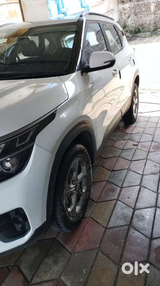 Kia Seltos 2019 Petrol Well Maintained