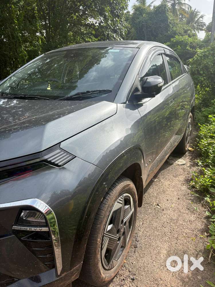 Tata Curvv 2024 Year Car