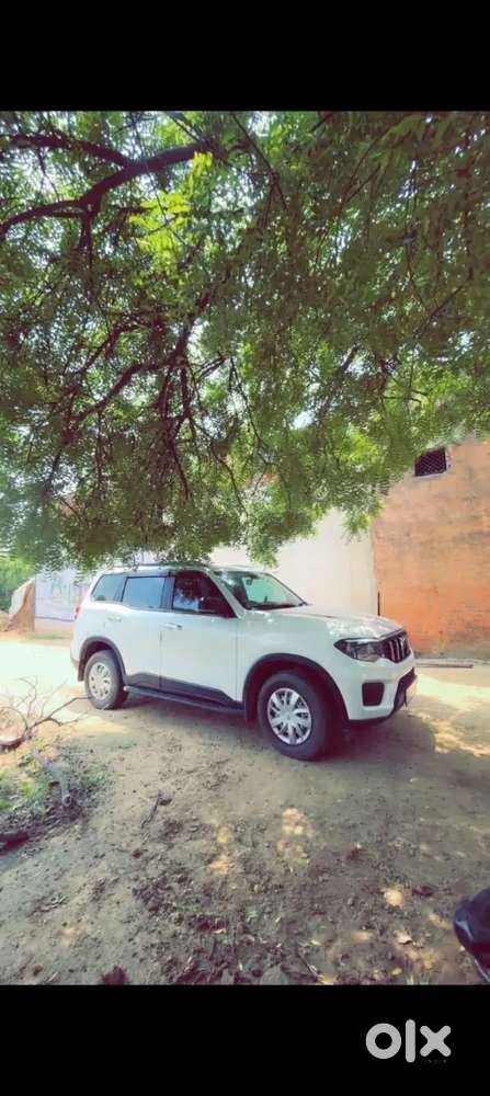 Mahindra Scorpio-n Petrol Manual 2025