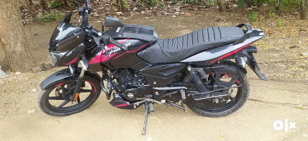 Olx wgl 2025 bikes