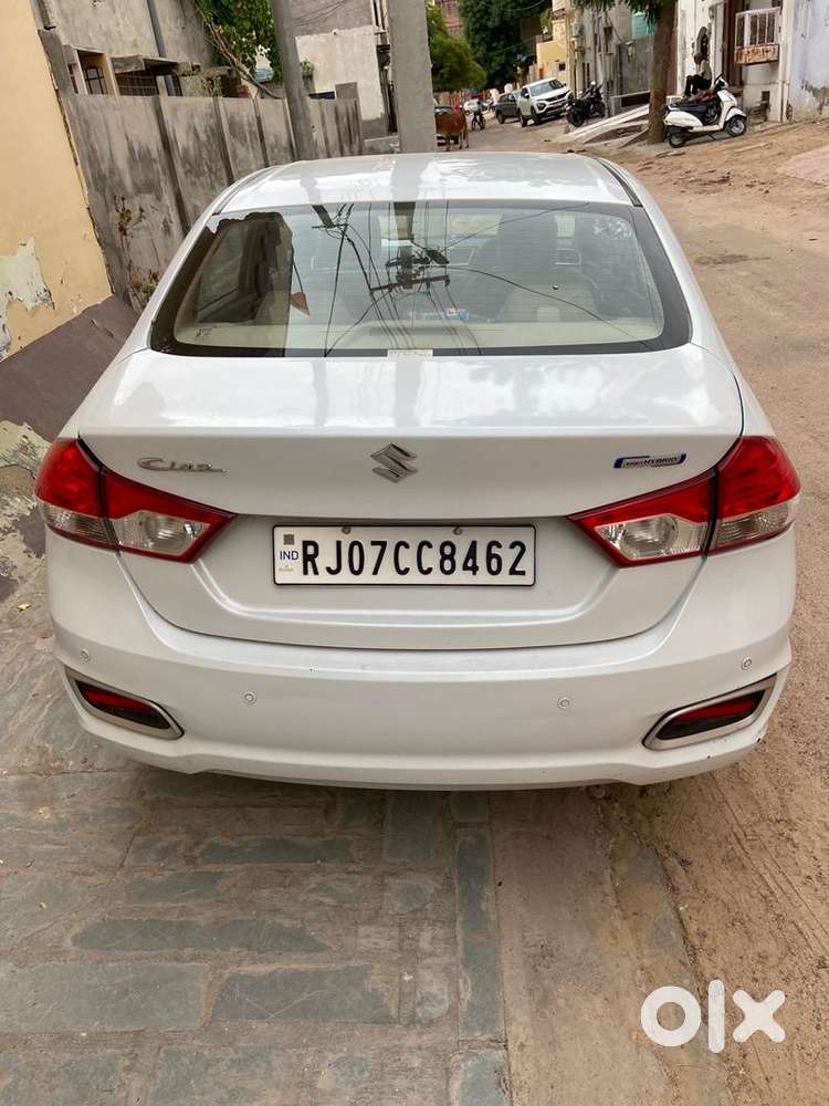 Maruti Suzuki Diesel 2019