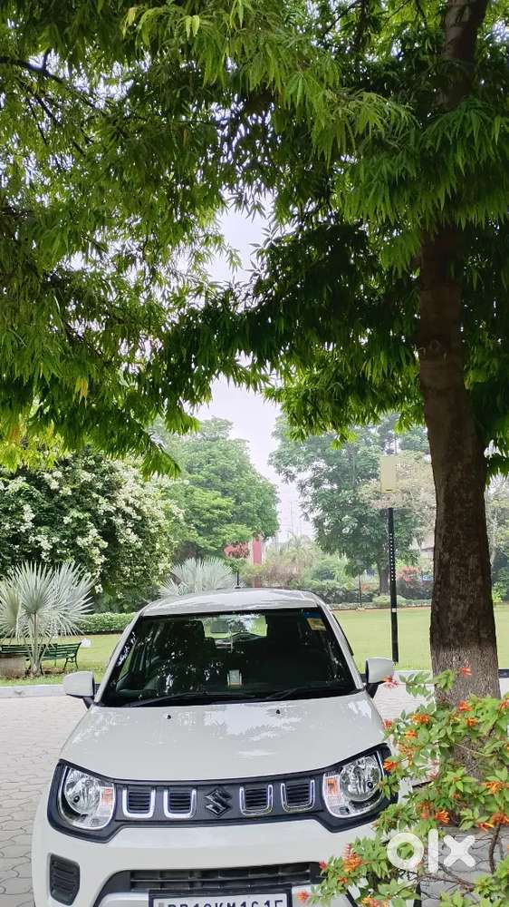 Maruti Suzuki Ignis 1.2 Sigma 2026