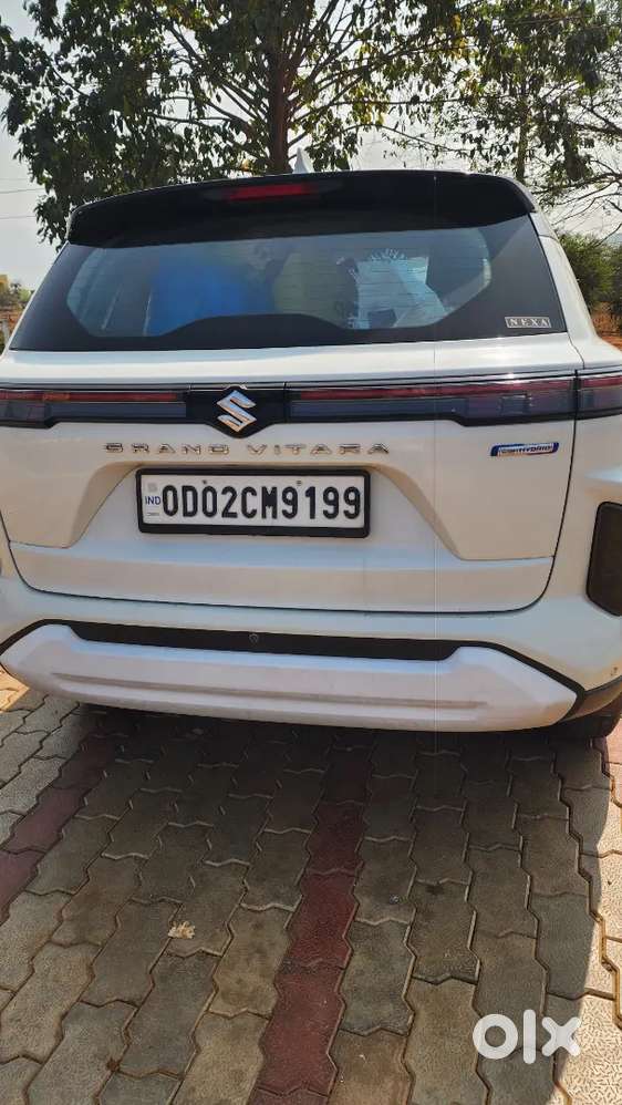 Maruti Suzuki Grand Vitara Petrol 30000 Km Driven With  Vip Number