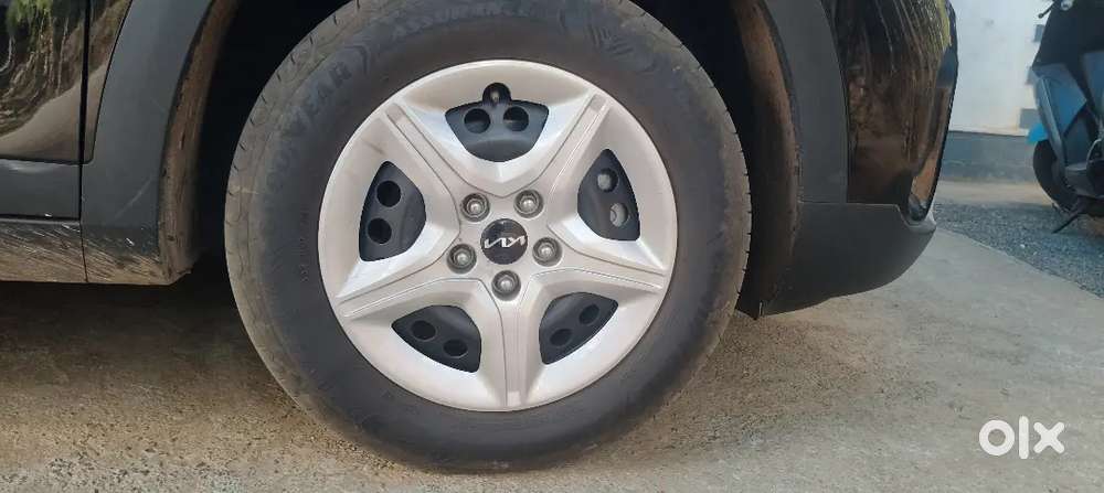 Kia New Seltos 2024 Petrol 23000 Km Driven