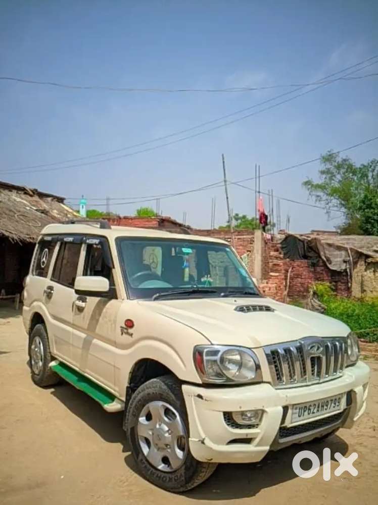 Purchased New Car