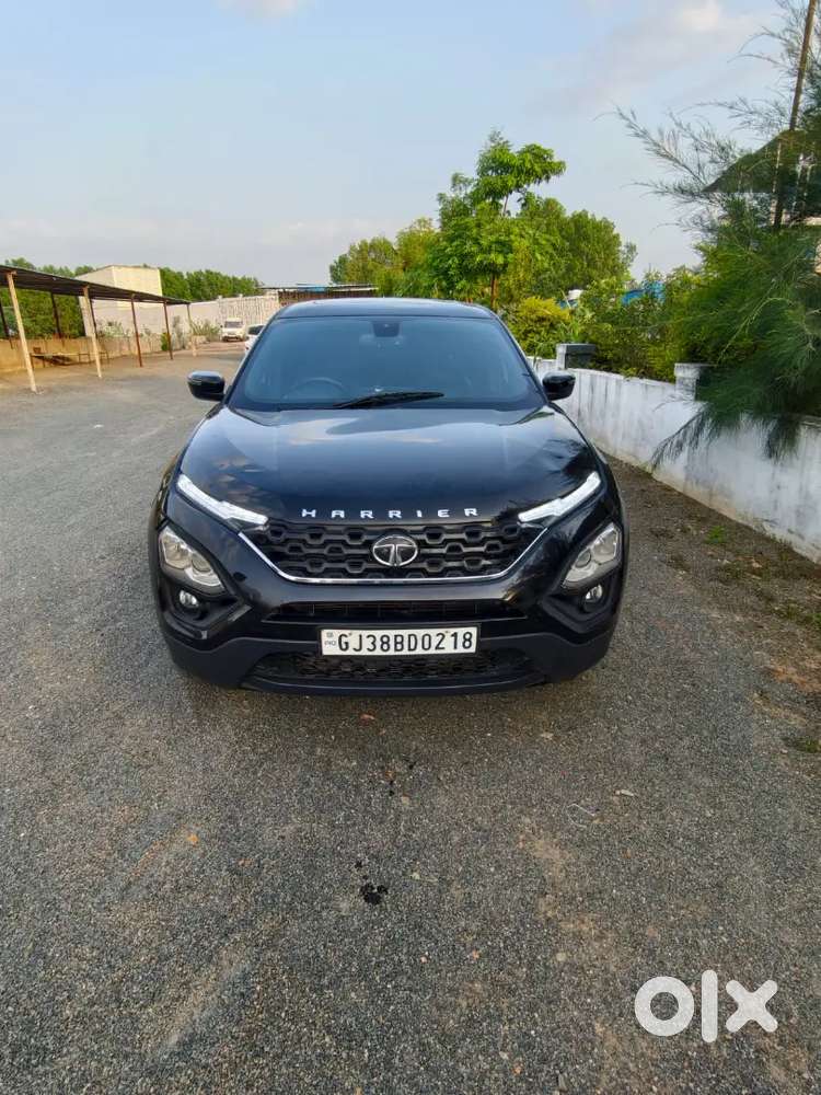 બમ્પર ટુ બમ્પર ઓરીજનલ
