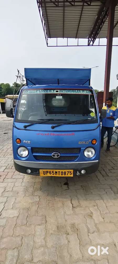 Tata Gold +  Diesel 2023