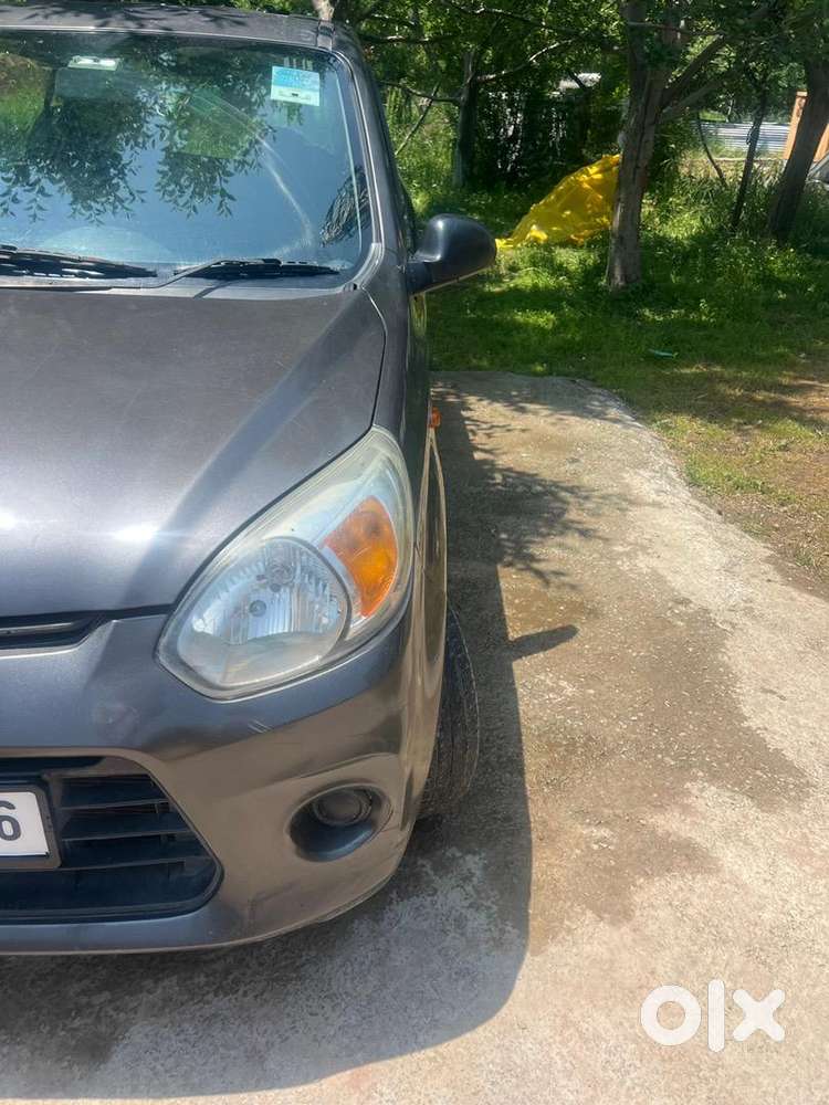 Alto 800 Lxi In A Mint Condition
