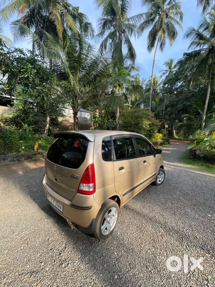 Family Used Zen Estilo