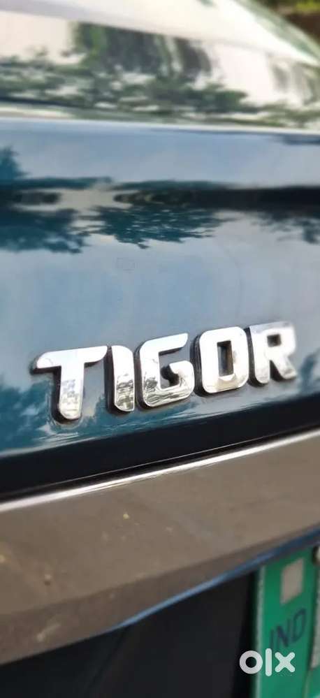 Tata Electric Car