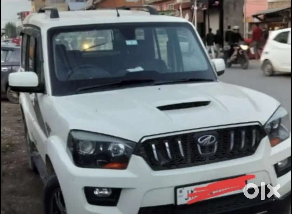 Fresh Condition Scorpio