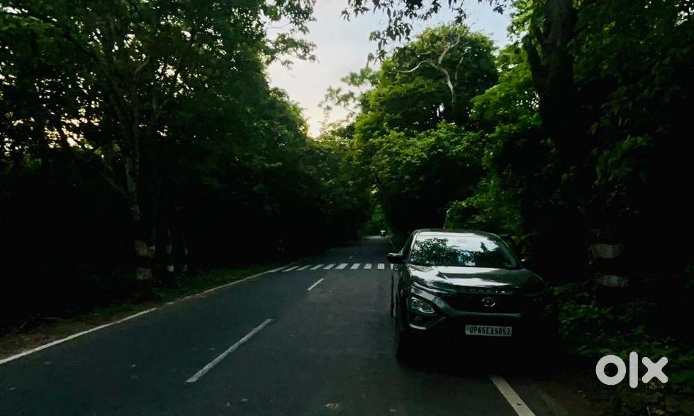 Less Driven Top Model Harrier Camouflage Edition