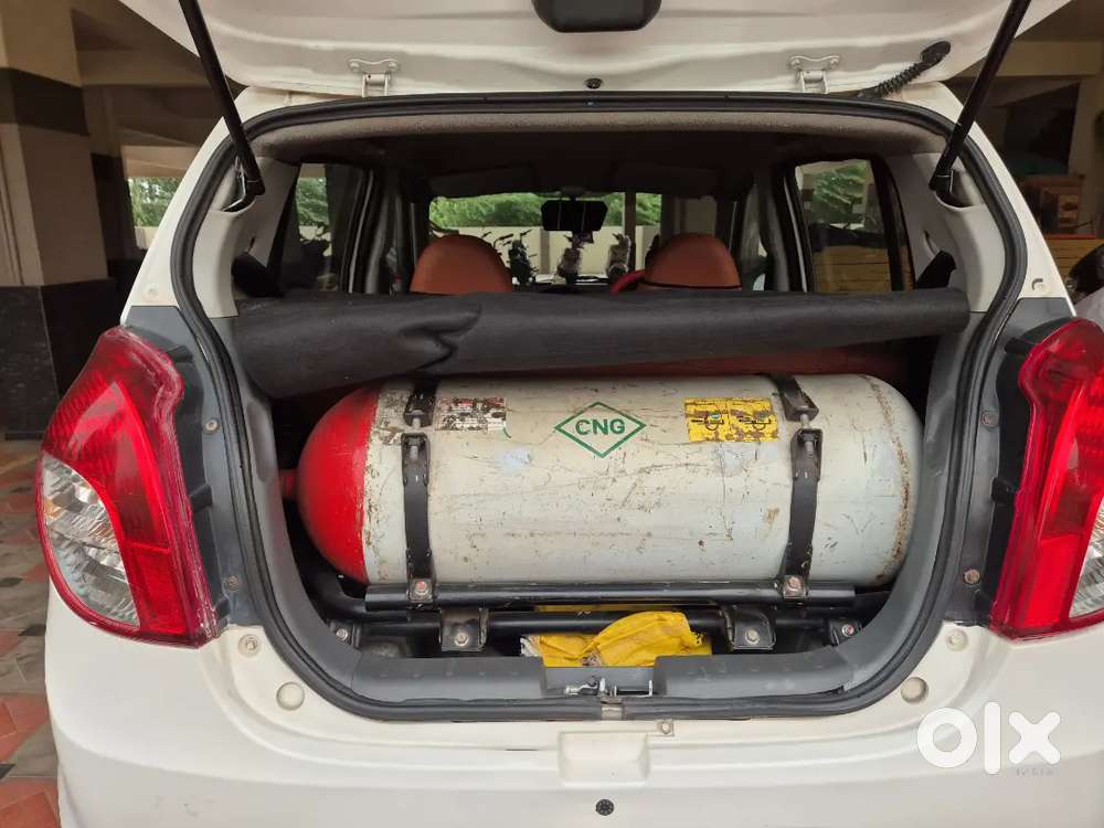 2013 Alto Lxi Cng