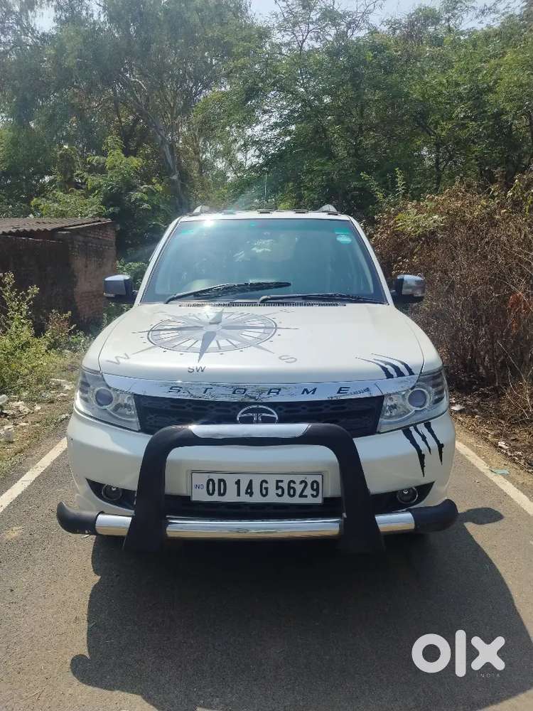 Safari Storme Top Model
