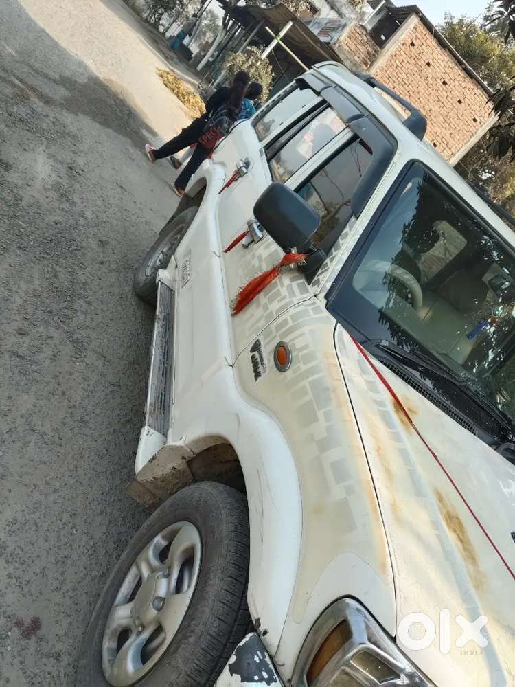 Scripo Vlx