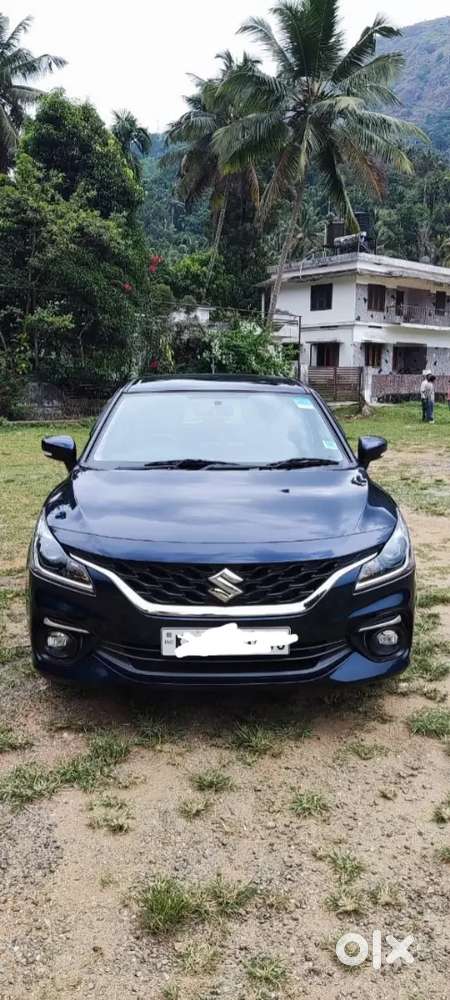 Baleno Delta 2024