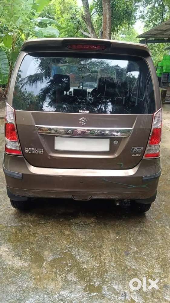 Maruti Wagon R Lxi Pro Plus 2013 Model