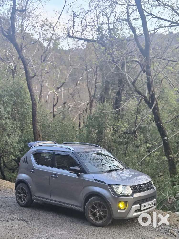 Ignis Maruti Suzuki 2025