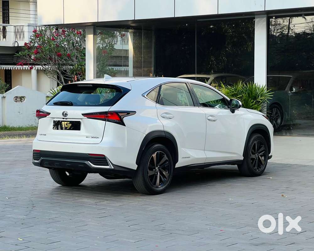 Lexus Nx Lexus-nx-300h-luxury, 2020, Petrol