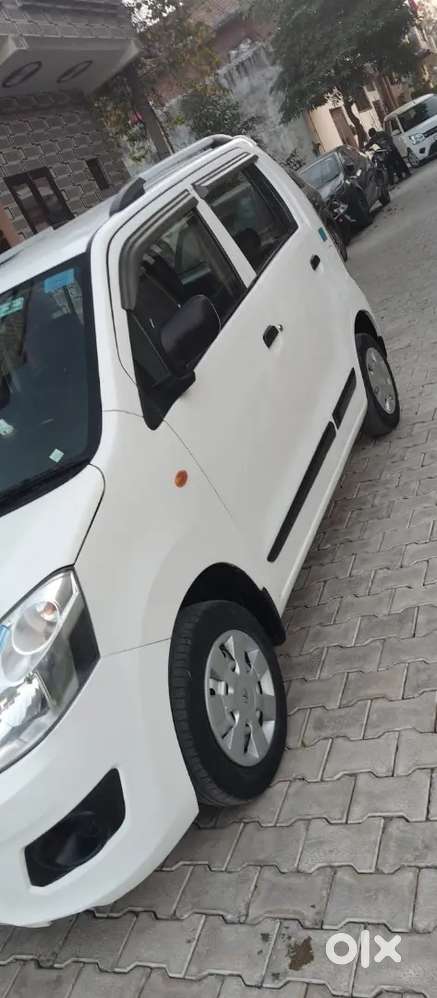 Company Cng Green