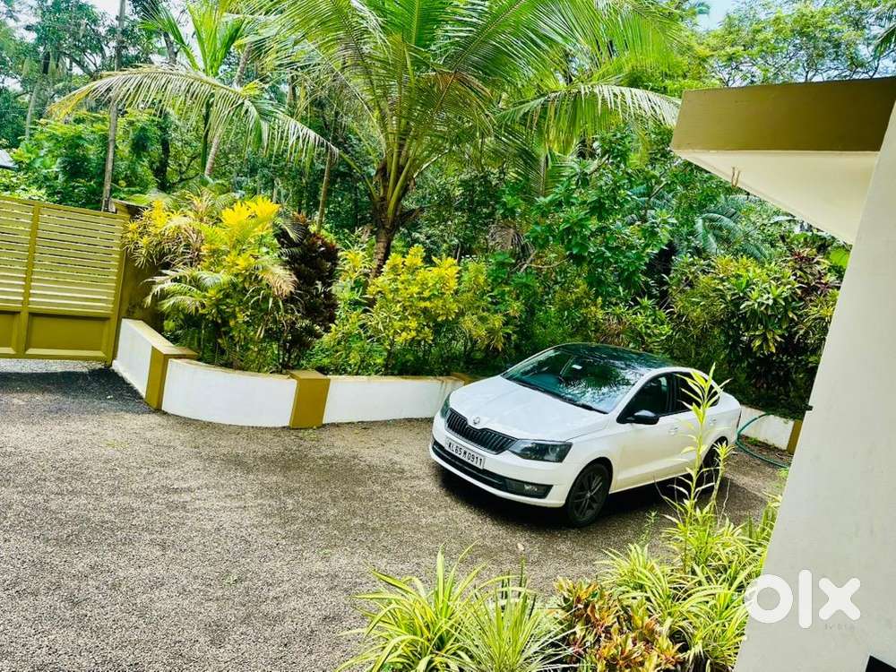 Skoda Diesel Automatic 2017 Car