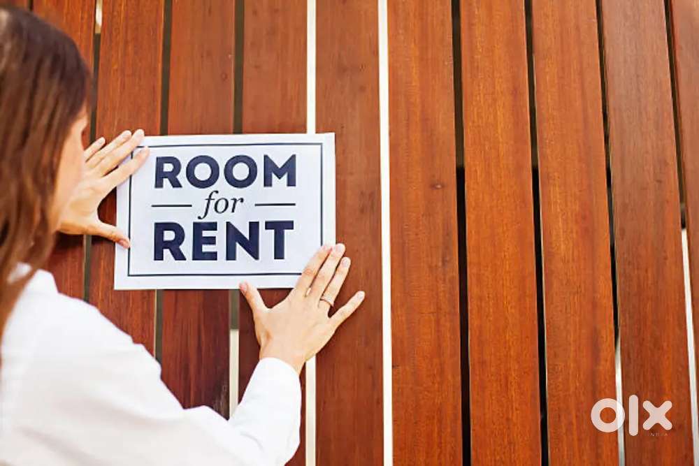 Room for rent hisar