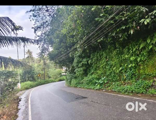 Plot for sale in anachal ( munnar) 73 cent