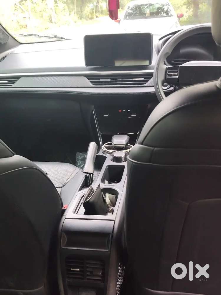 Tata Nexon 2024 Petrol 36000 Km Driven