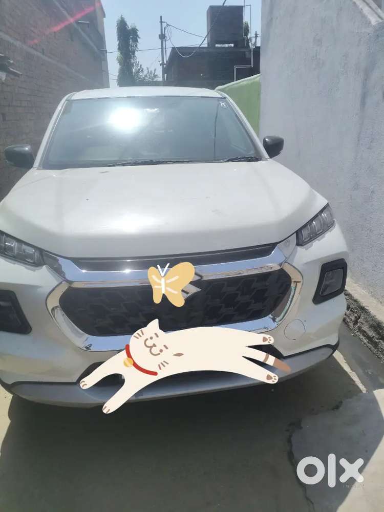Maruti Suzuki Grand Vitara 2025 Petrol Well Maintained