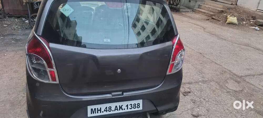 Maruti Suzuki Alto 800 2016 Year Car