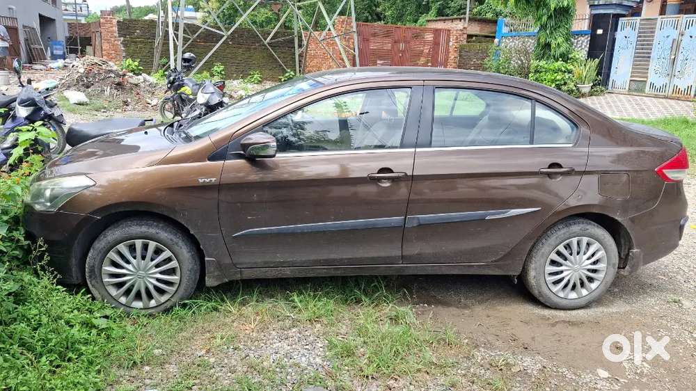 Maruti Suzuki Ciaz 2015 Luxury Sedan With Service Record 1 St Owner