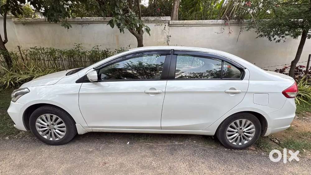 Maruti Suzuki Ciaz 2024 Yellow Board