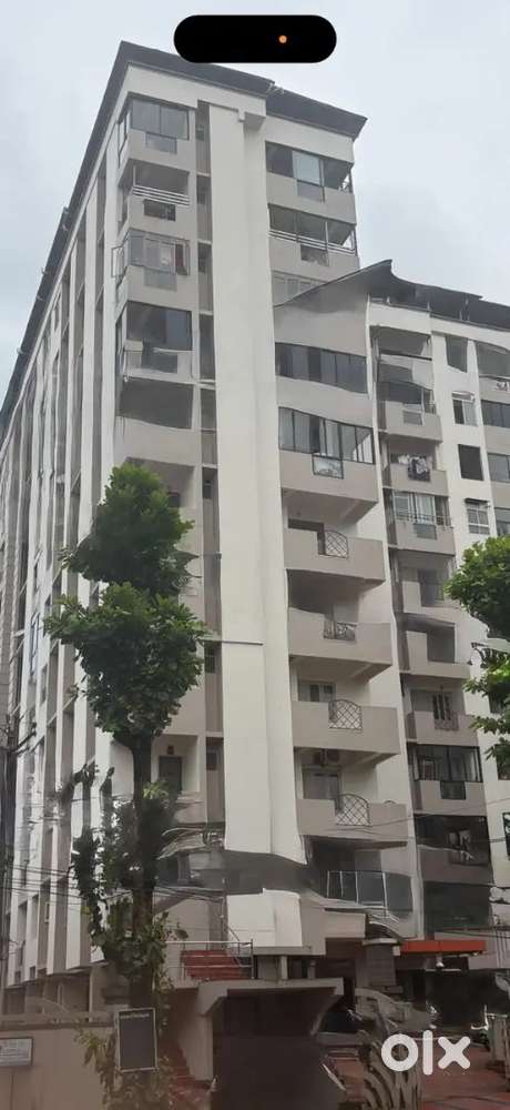 Carecaker Cum Accountant In Apartment